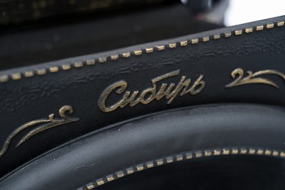 Печь банная чугунная "Сибирь-24". Каминная дверца "Сибирь" 545х545 (Сетка) – фото 5